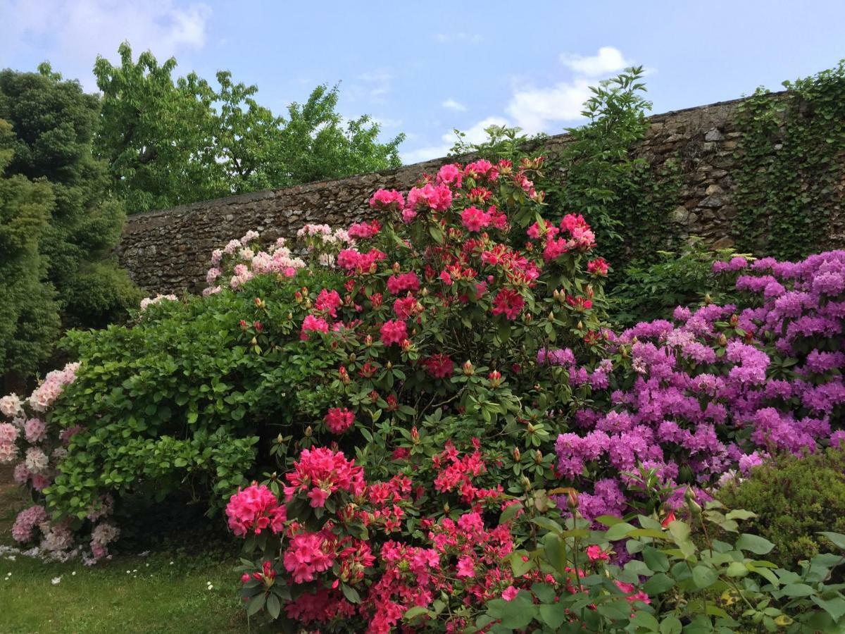 Domaine Des Trois Chateaux Moisenay Exterior photo